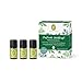 Produktbild PRIMAVERA ätherische Öle Set Duftende Waldkraft - Geschenkbox 3 x 5 ml Zirbelkiefer, Zeder, Fichtennadel - Aromaöl, Duftöl, Aromatherapie, Geschenke - vegan