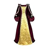 Women's Plus Size Velvet Tudor Gown Costume Dress Floor Length Gold Trim Damask (2X, Burgundy)