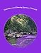 Multidimensional Dowsing Questions: Volume IV (Volume 4)