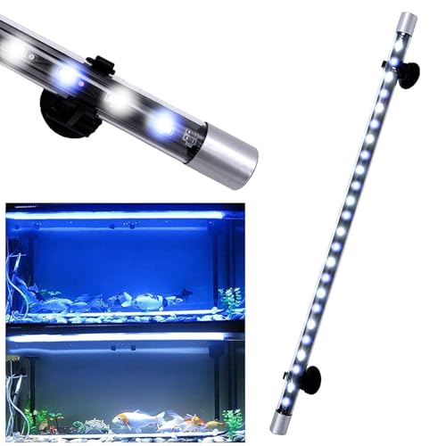 Image of VENUS AQUA T4-30F 3 Watt Fully Submersible LED Aquarium Light - Blue + White Lamp for Fish Tank, Glass Aquarium - 27 cm for 1.5 Ft -2 Ft Fish Tank