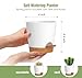 WSMKSZ 4 inch Self Watering Pots for Indoor Outdoor Plants, 6 Pack Plastic Flower Planters with Drainage Holes and Removable Saucers, Plant Pots with Wicking Rope, Modern Decor, White Brown