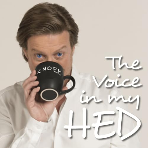 『The Voice In My HED』のカバーアート