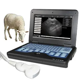 Portable Veterinary Ultrasound Scanner 3.5MHz Convex Probe