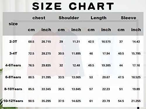 Fommykin Kids Boys Toddler Long Sleeve Cuban Guayabera Shirt Linen Button Down Wedding Beach Baptism Summer Shirts Blue #TOP4