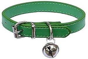 Chic Green Collar for Your Precious Feline Companion