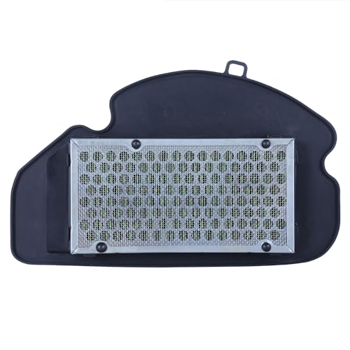 Haran Air Filter Paper Compatible For Honda Grazia BS6