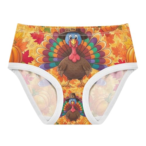 Girls Panties, Turkey Colorful Toddler Girl Briefs, Girls Cotton Underwear, 2T–8 Years