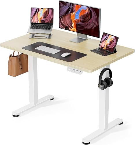 ErGear 電動昇降スタンディングデスク 幅100cm