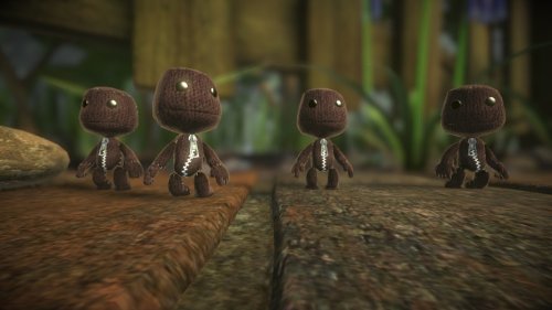 Little Big Planet
