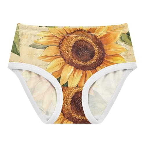 Cartoon Girls Underwear Toddlers 2t Cotton Girl Panties Cute Sunflowers Vintage Briefs Undies Kids
