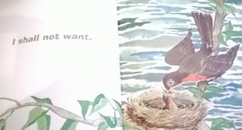 Hardcover The Lord is My Shepherd: The Twenty-Third Psalm [Unknown] Book