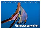 Unterwasserwelten (Tischkalender 2023 DIN A5 quer), Calvendo Monatskalender