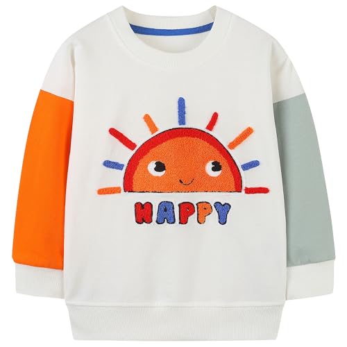 AIWUHE Toddler Sweatshirt Boys Girls Crewneck Pullover Tops Blouse Long Sleeve Cotton T-Shirt Fall Winter Clothes 2-6Y