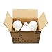 Asencia AN-03661 40 Watt Equivalent A19 General Purpose LED Light Bulb, 6-Pack, Non-Dimmable, 6 Pack, Daylight (5000K)