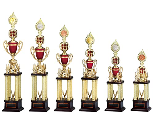 [[U[] GOLD SHACHI \gtB[ TV2003 ETCY(50cm d500g)(H-3) y{EO z