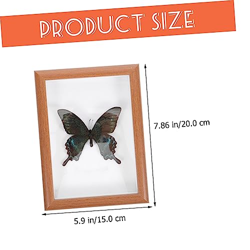 TOGEVAL Moldura De Foto De Espécime De Borboleta Faça Você Mesmo Decoração De Parede Decorativa Para
