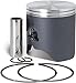 Athena (S4C05000001A) 49.94mm Cast-Lite Piston Kit