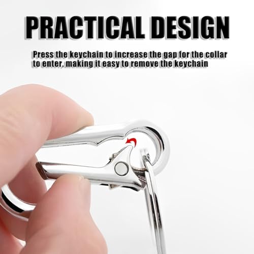 CENSIVI 4 Stück Metall-Schlüsselanhänger - Karabiner Mit Schlüsselring Zinklegierung Schnellverschluss Clip Abnehmbare Karabinerhaken