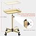 Salon Tray Cart Tattoo Tray Rolling Cart, Service Rolling Tray, Height Adjustable Styling Tray, Storage Tray Trolley for Beauty Salon Clinic Spa (Champagne Gold)