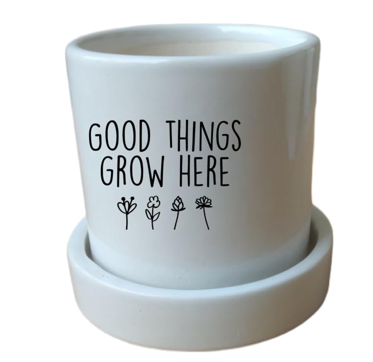 See full amazon price history chart for Good Things Grow here Print 4 Inch Round Ceramic Pot with Bottom Tray, Ideal for Gifts, Table, Shelfs, Planter with a Drainage Hole Good Things Grow here Print 4 Inch Round Ceramic Pot with Bottom Tray, Ideal for Gifts, Table, Shelfs, Planter with a Drainage Hole (B0DBLZPLDB) Amazon Price History, Amazon Price Tracker