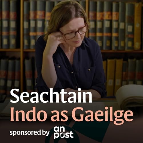 1926 Census: &lsquo;1% de phobal na t&iacute;re a l&iacute;on i nGaeilge &eacute; - mo mhuintir ina measc&rsquo;