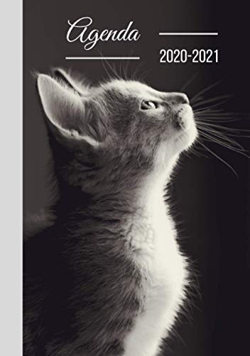 Télécharger Agenda Scolaire A5: Chat Animaux, Agenda en Français Journalier Quotidien, Gris Gratuit