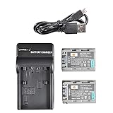 np-fp50 akku Speicher frei für maximale Leistung, Schutz gegen Kurzschluss und Überladungs