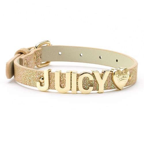 Juicy Couture Logo Metallic Pet Collar | Amazon