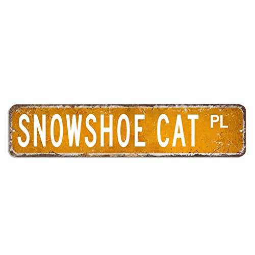 BYRON HOYLE Plaque en métal en forme de raquette à neige avec chat - Style shabby chic - Décoration murale rétro - Décoration murale rustique pour maison Cover