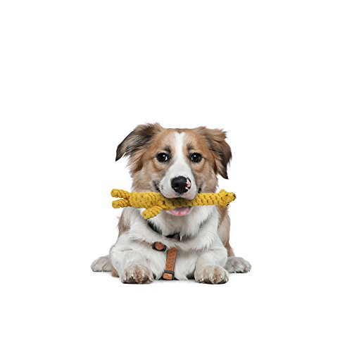 Vivifying Kauspielzeug für Welpen, aus Langlebiger Geflochtener Baumwolle Hundespielzeug Giraffe für Kleine Hunde Zahnreinigung (Gelb)