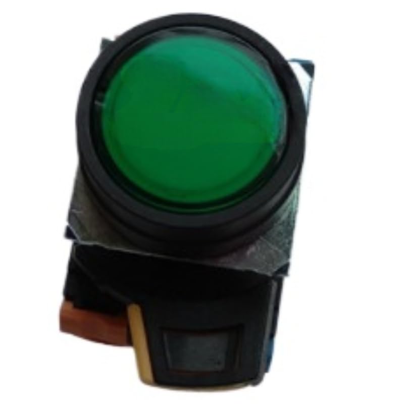 1Pc A22NL-BNM-TGA-G102-GE Automatic Reset Button Switch with Light