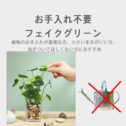 AZNABLE 観葉植物 フェイク 卓上 ミニ フェイクグリーン おしゃれ 可愛い 室内 小さい 北欧 (常緑樹) [2]