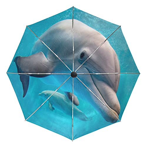 Parapluie dauphin automatique incassable fini les parapluies tordus par le vent en voyage