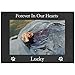 Forever In Our Hearts - Custom Dog - Engraved Anodized Aluminum Hanging/Tabletop Personlized Memorial Photo Picture Frame - Add your dogs name