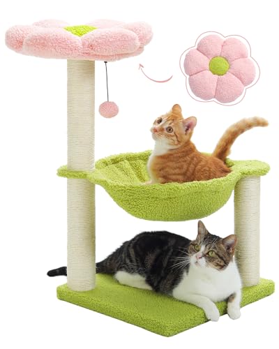 PAWZ Road Lbg^[ ~j 킢 Ⴂ LnbN L^[ u L܌ ߂Ƃ|[ R ^   Ԃт t[ T{e Lxbh RpNg lC  gȒP  - sN 70cm