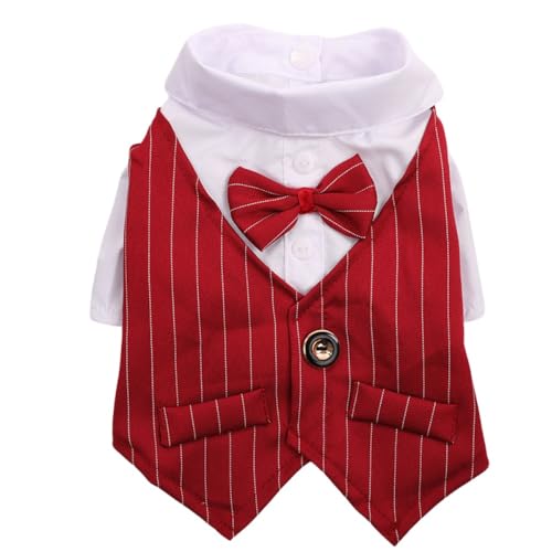 LALEER BIZ ̏tėpybg ^E^pX[cVc EFfBOhX (XL,Cbh)