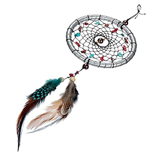 Pixnor Dream Catcher artesanal atrapasueños llavero colgante decoración 11 tallo colgante adorno regalo del arte