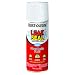 Rust-Oleum 267970 12-Ounce Leak Seal Flexible Rubber Sealant, White