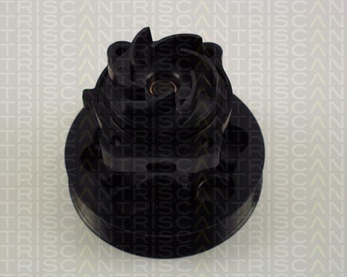 Triscan 8600 15030 - Pompa Acqua