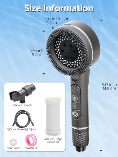 Éclaboussure haute pression avec détendeur, 4 modes d'injection d'Iondrop with filtre contre l'eau dure (Gray)