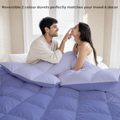 Image of AYKA Reversible Comforter 220 GSM Microfiber Reversible AC Comforter /Blanket for Winter /Quilt /Dohar /Duvets for King Size Blanket /Comforter Double Bed (Lavender & Blueberry, 90 * 100)