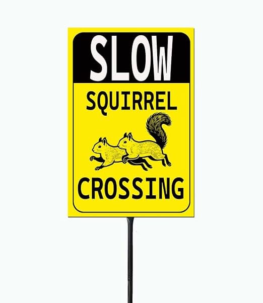 Slow Down Sign - Slow Squirrel Crossing High Visibility Metal Yard Sign, 8" X 12", Rust Resistant With 36" Total Height, Outdoor Use