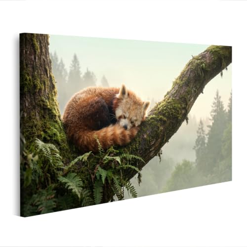 Tableau panda rouge pour les amoureux des animaux édition islandburner