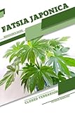  Fatsia japonica: Closed terrarium, Beginner\'s Guide