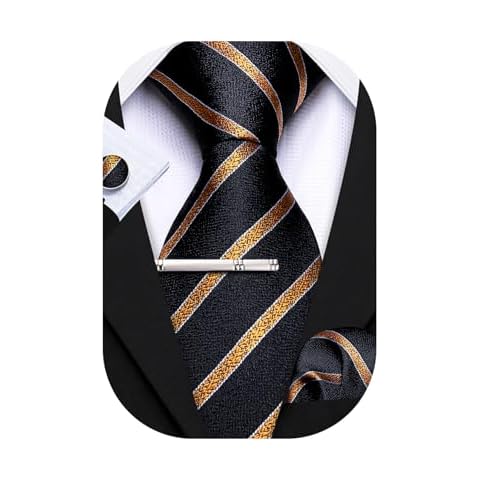 Barry.Wang Lot de 4 cravates en soie Cover