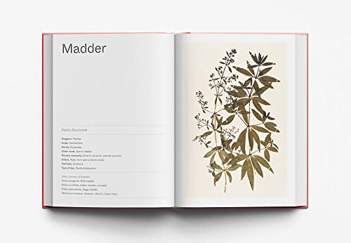 In Pursuit of Color: From Fungi to Fossil Fuels: Uncovering the Origins of the World's Most Famous