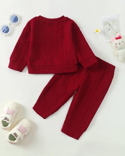 Kucnuzki Baby Toddler Girl Clothes Long Sleeve Crewneck Sweatshirt Tops Sweatpant Sweatsuit Baby Girl Fall Winter Outfit4