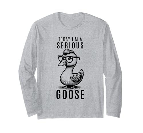 Today I'm A Serious Goose �ʔ�������ȃ��[���A ����T�V���c