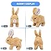 Zloeoa Bunny Stuffed Animal Plush, Interactive Electronic Pet Hopping Bunny Toy, Realistic Stuffed Easter Bunny Rabbit with Sounds and Movements Animated Walking Wiggle Ears Twitch Nose (Brown&White)
