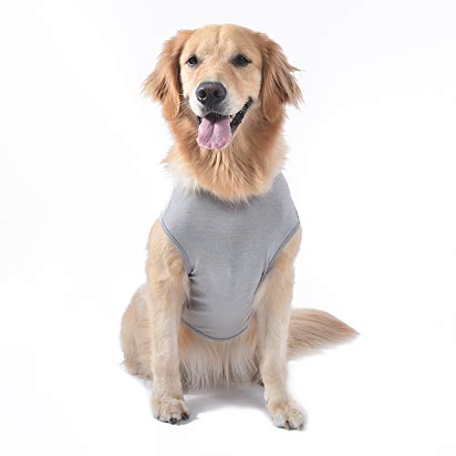 Star Wars para animais de estimação FF11863 Star Wars Yoda Regata para cães grandes | Camiseta para